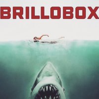 Brillobox (@brilloboxpgh) 's Twitter Profile