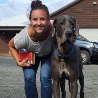 Kirrily Gould (@kirrilygould) 's Twitter Profile Photo Kirrily Gould (@kirrilygould) 's Twitter Profile Photo