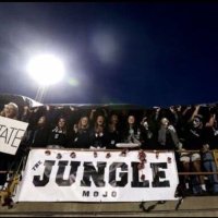 The Jungle (@themojojungle) 's Twitter Profile