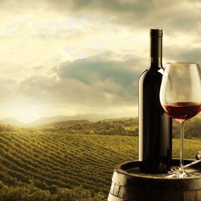 loveinthewine's profile picture. We are the wine lover in all of you 🍷