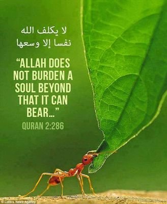 O my people! This life of the present is nothing but (temporary) convenience: It is the Hereafter that is the Home that will last. (40:39)