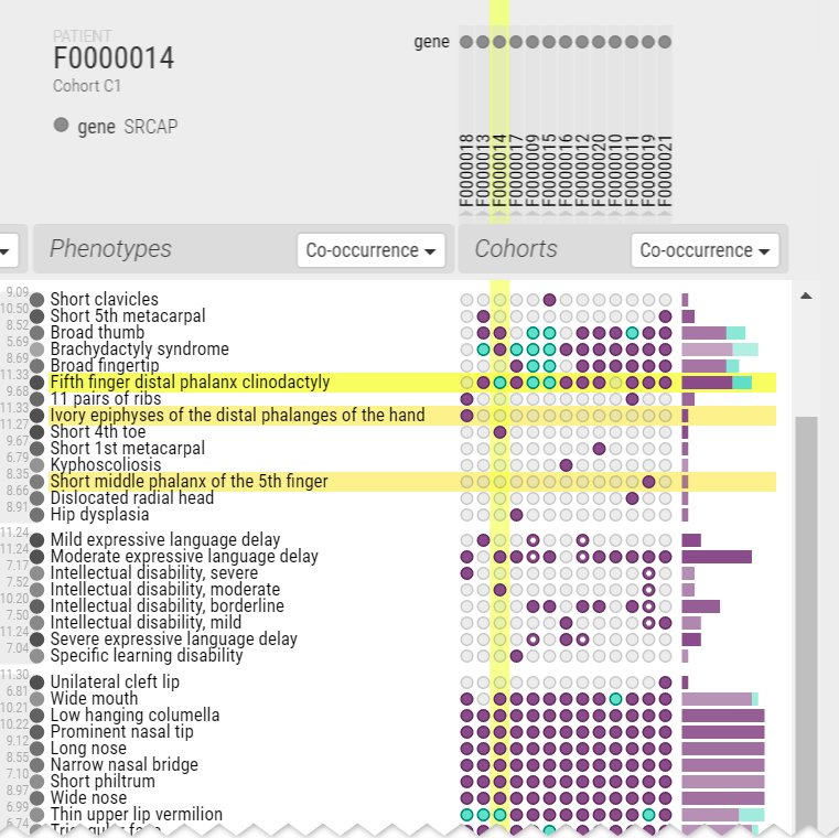phenostacks's profile picture. Visually analyze the phenotypes of patient cohorts