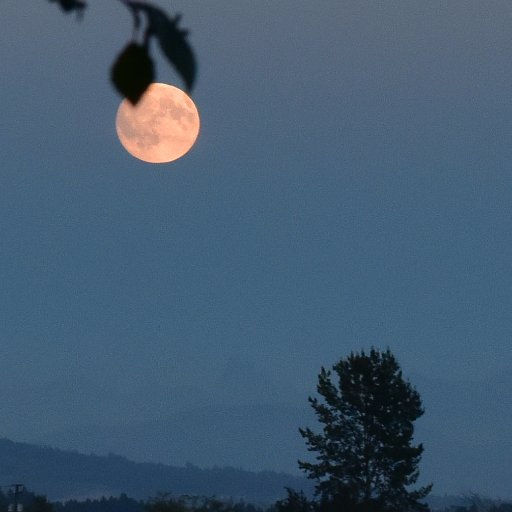 Frank9Fei's profile picture. Positive to face our daily life, and make something from nothing, dream impossible to possible.