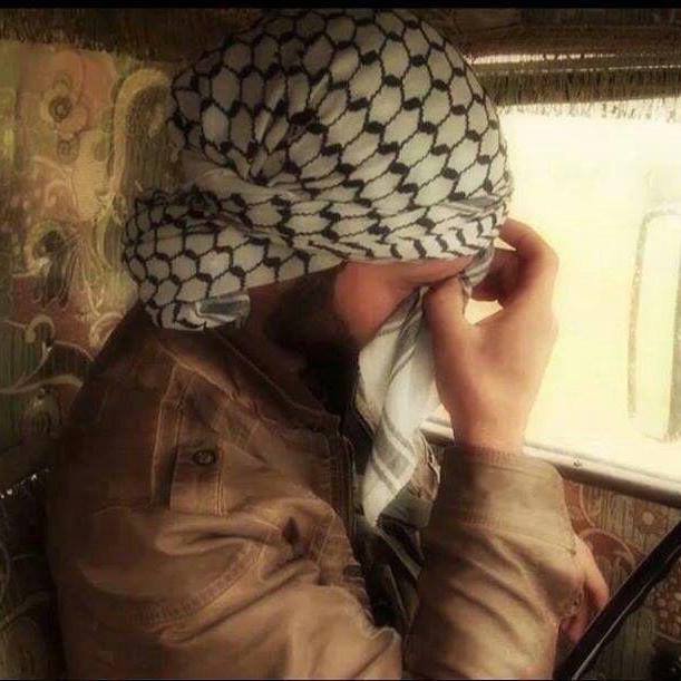 backtohack1's profile picture. 