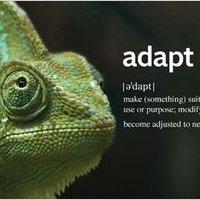 Phil Moore (@philmoore61) 's Twitter Profile