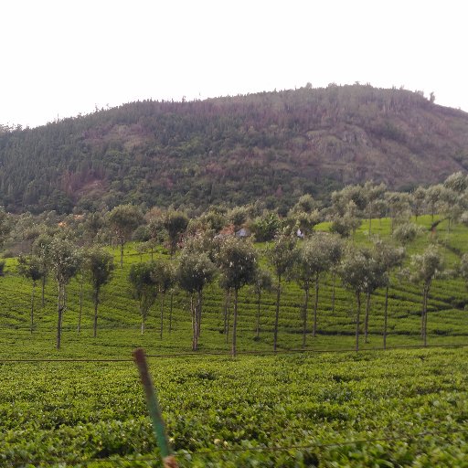 rjkmr9091's profile picture. work in HCL