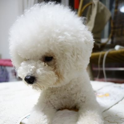 johnzhou118's profile picture. geek photography movie fans