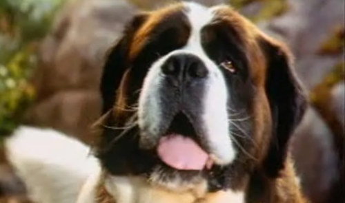 BigZackDOGGGGGG's profile picture. guitarist