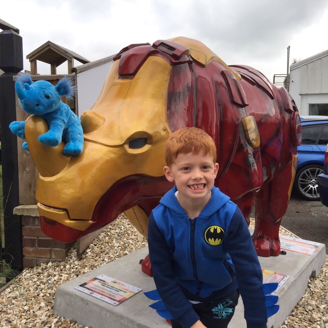 Iron_Rhino1's profile picture. Invincible? is part the @greatbigrhinos trail by of @paigntonzoo. Created by @wrightoriginals and sponsored by @Ocean_BMW & @Ocean_Mini.