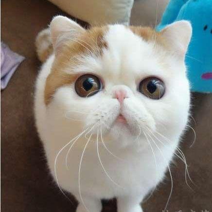 bwangel23's profile picture. 