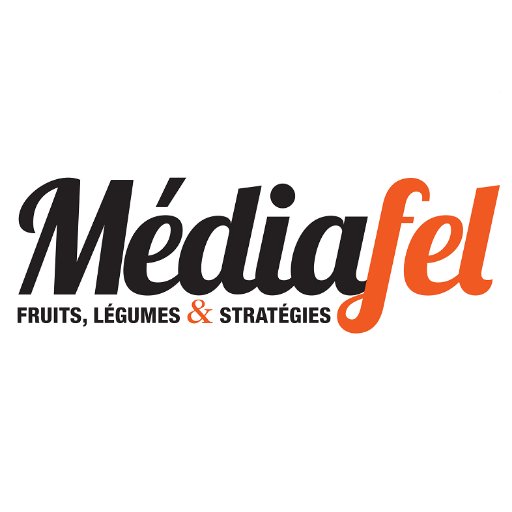 Mediafel Profile Picture