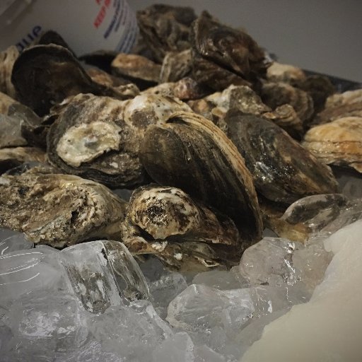 DelawareDonPaul's profile picture. 302-729-2023