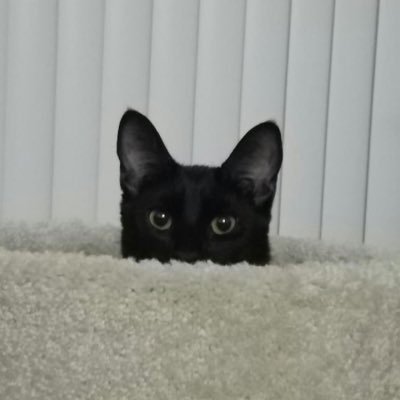 Varmanii769's profile picture. 