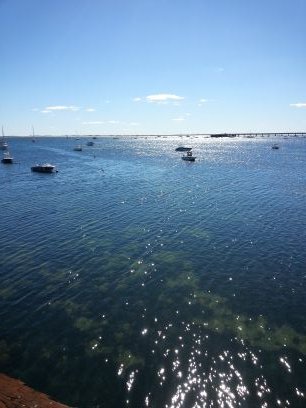 muddiestoil's profile picture. Political junkie, Democrat, M.Ed, Masshole