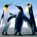 Jose Miguel (@05Josemirodri) Twitter