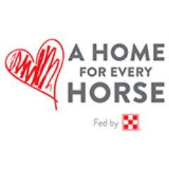 home4everyhorse's profile picture. 