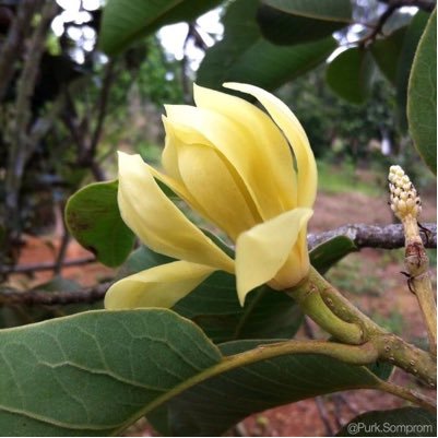 Nokna7's profile picture. ตามสบายเลยค่ะ