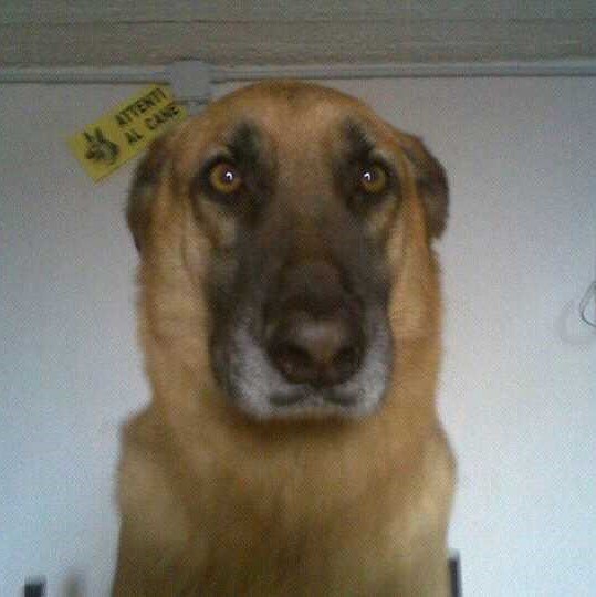 cikyrillo's profile picture. 