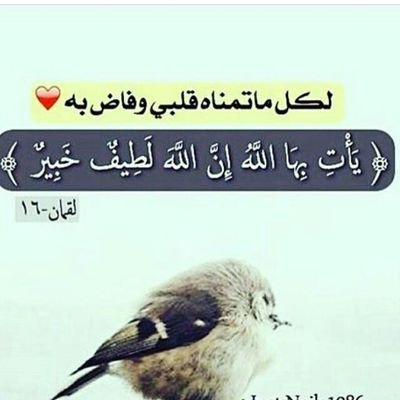 Nonne_2000's profile picture. يارب لاتفجعني بمكروه يُصيب أهلي ومن أحب اللهم إني أستودعتك إياهم وأنت خير الحافظين