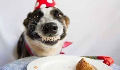 youleftmedead13's profile picture. PSYCOSOSIAL