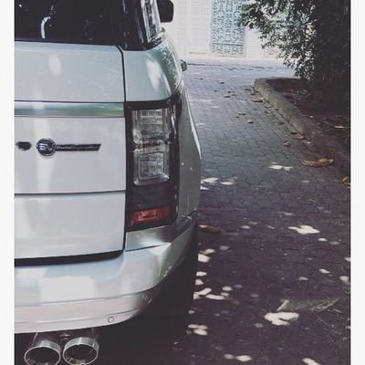 hameedcenter's profile picture. الصراحة