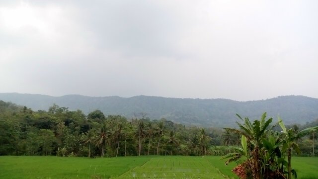 nasyirabdul1's profile picture. 