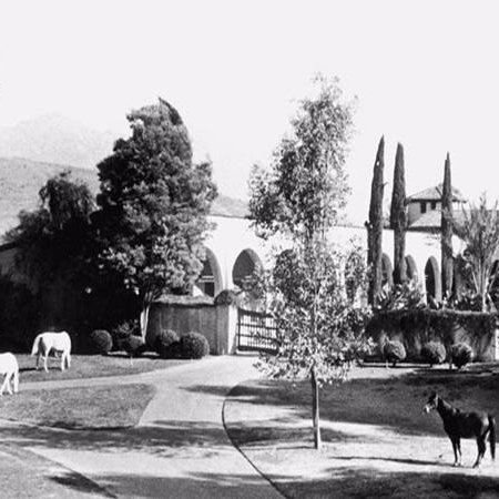 Cal Poly Pomona Special Collections and Archives: University History, Arabian Horse, Wine and Wine Industry, and the Pomona Valley