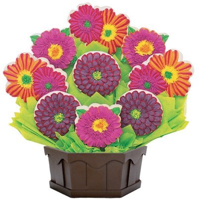 CBDcoralsprings's profile picture. 