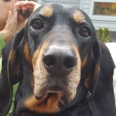 stevbarry's profile picture. 