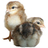 poultrykeeper's profile image