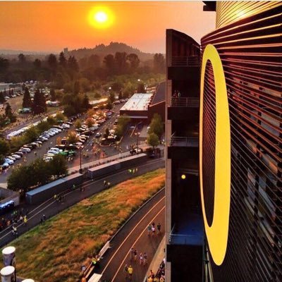 _weekies's profile picture. 