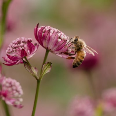 katmo86's profile picture. Catholic. Wife. Mom. Photographer. Alaskan. Knitting addict.