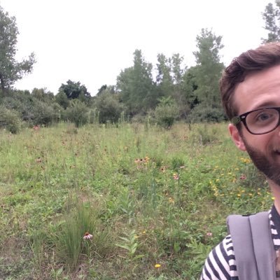 stephenrashid's profile picture. 