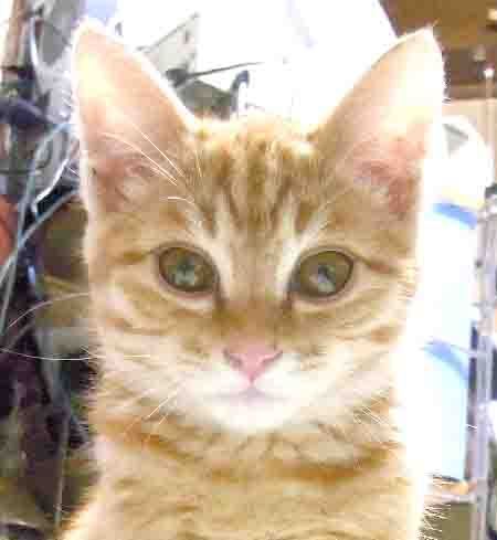 nasukyugasukyu's profile picture. 