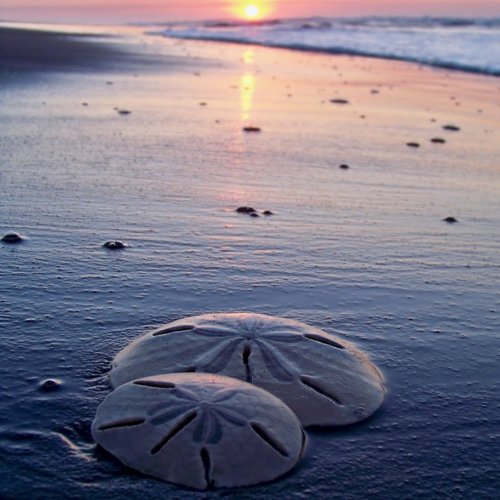 mini_ack's profile picture. 