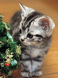 ta_ku_ya_'s profile picture. 今も生きてます