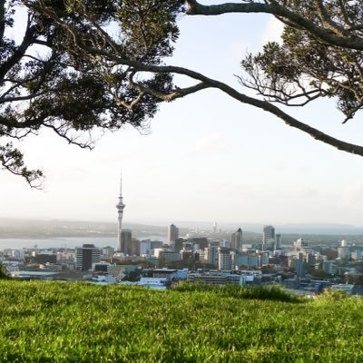 timjgray's profile picture. 