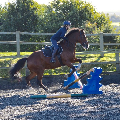 VixHutchins's profile picture. Avid supporter of BEventing BEVolunteer found FJ'ing most weekends owner of 2 quadrupeds happy snapper of eventing equestrians #prosecco #horses #BLACKLAB #ISH