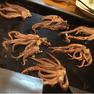 pizakuitai_debu's profile picture. 藝大に入りたいです