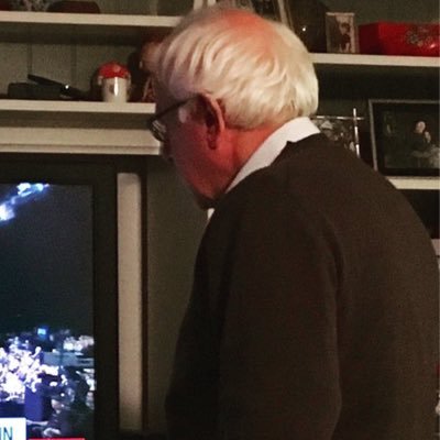 what is Bernie watching on TV??? // requests are closed