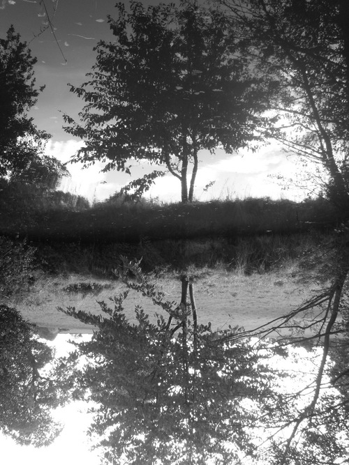 schmond's profile picture. 