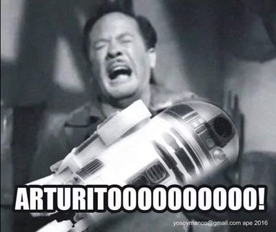 pumita_arthur's profile picture. sígueme, aquí te leo..