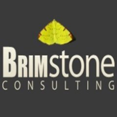 Brimstone Consulting- Search & Selection across nine niche sectors.