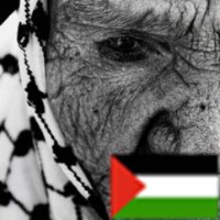 This is Gaza(@ThisIsGaZa) 's Twitter Profile Photo