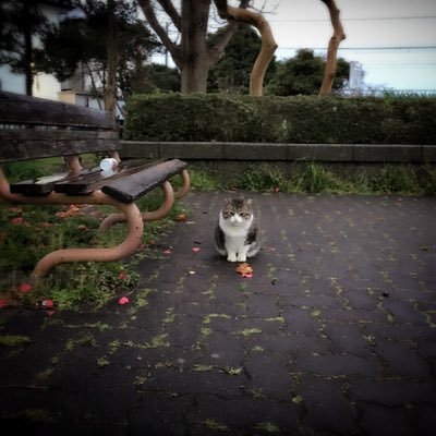 Thanks for checking it out.👍🏼『Please subscribe to YouTube』https://t.co/ow5rqxgsPr 『Follow me on Instagram 』https://t.co/oMX4aJJaGA