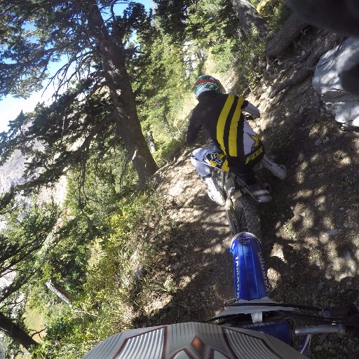 ColinShoell's profile picture. 