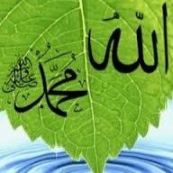 idrees13031989's profile picture. 