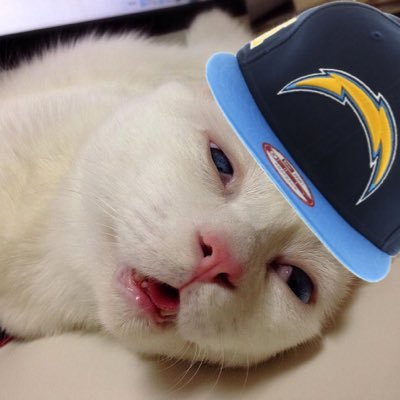 cilantro_jones's profile picture. The Chargers disappoint me.