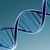 Molecular, Cell and Cancer Biology (@umasschanmccb) Twitter profile photo Molecular, Cell and Cancer Biology (@umasschanmccb) Twitter profile photo