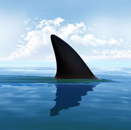 Tuvalu_dreams's profile picture. If you liked it then you shoulda put a retweet on it...